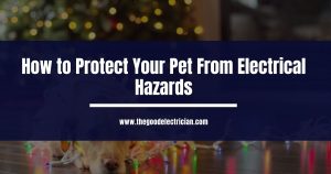 Read more about the article How to Protect Your Pet From Electrical Hazards